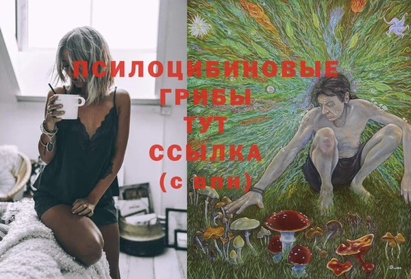 МДПВ Навашино