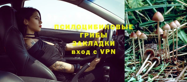 МДПВ Навашино