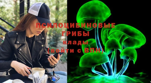 МДПВ Навашино