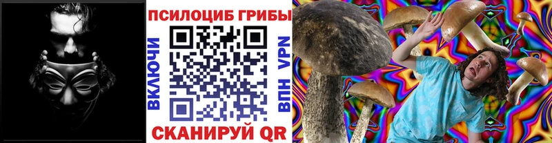 Псилоцибиновые грибы MAGIC MUSHROOMS  Гаджиево 